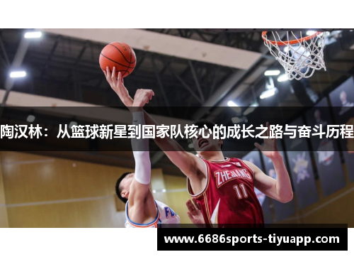 陶汉林：从篮球新星到国家队核心的成长之路与奋斗历程